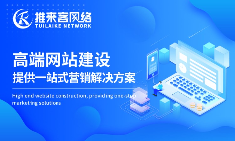 网站详情 (10)