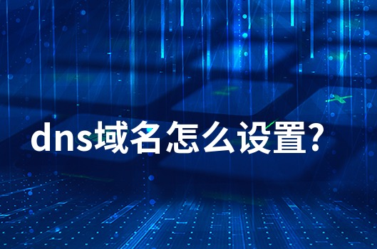 DNS设置