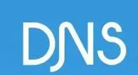 DNS故障