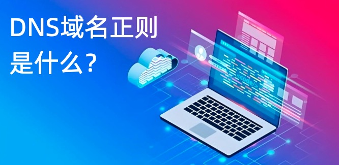 DNS域名正则
